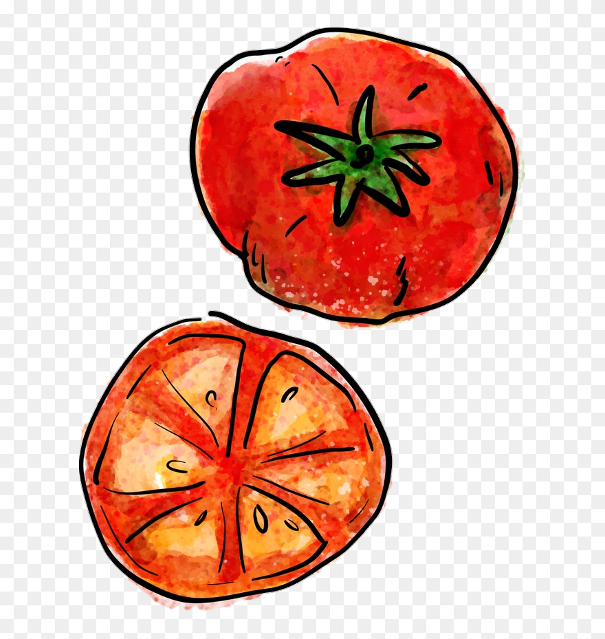 #tomato #tomatoes - Tomato Draw Png Clipart