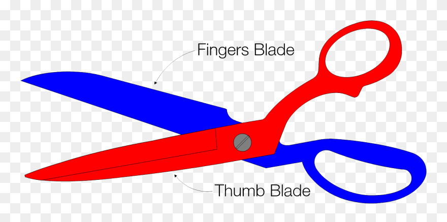 Clip Art - Png Download