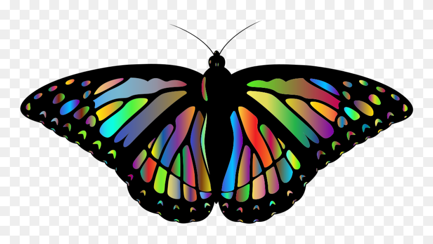 Rainbow Monarch Butterfly Png Clipart