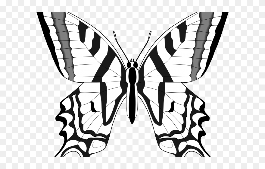 Monarch Butterfly Clipart Outline - Black And White Outline Of Butterfly - Png Download