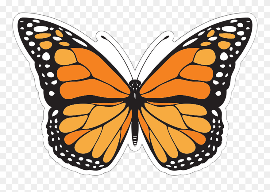 Butterfly Template Clipart