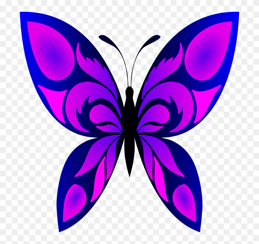 Butterfly And Designs Drawing Clipart