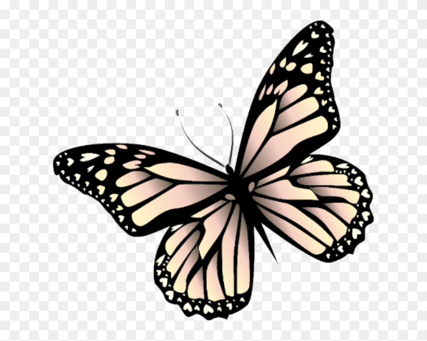 Transparent Mariposa Clipart - Butterfly Stickers Transparent Background - Png Download