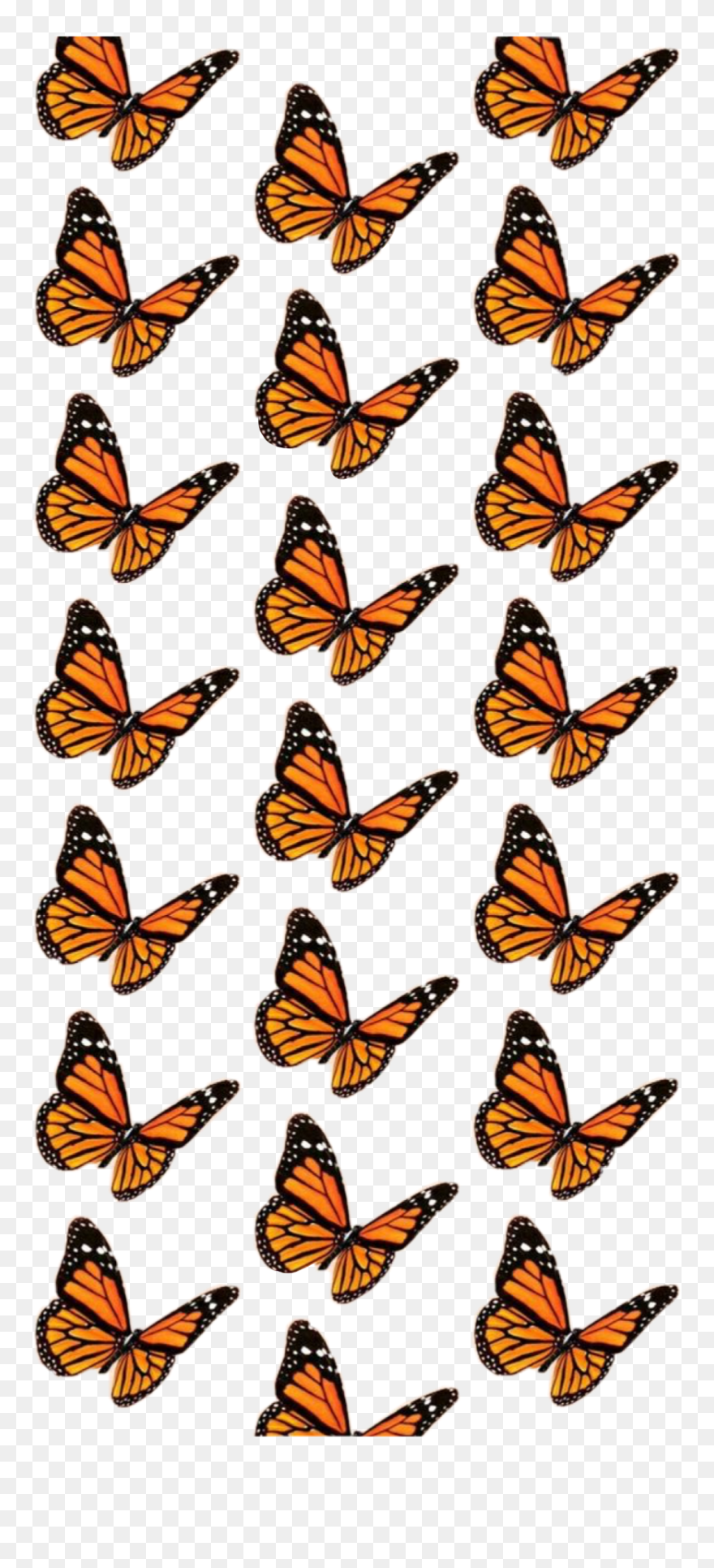 #vsco #butterfly #background #butterflybackground #aesthetic - Bible Says Love Never Fails So If It Fails Clipart