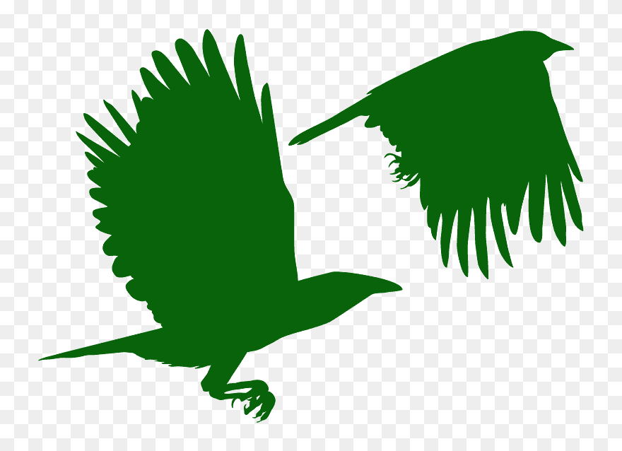Bird Of Prey Clipart