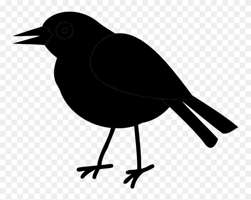 American Crow Clip Art Common Raven Fauna Silhouette - Crow - Png Download