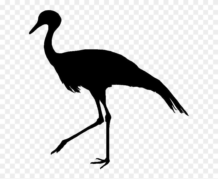 Blue Crane Bird Silhouette Feather - Blue Crane Black And White Clipart