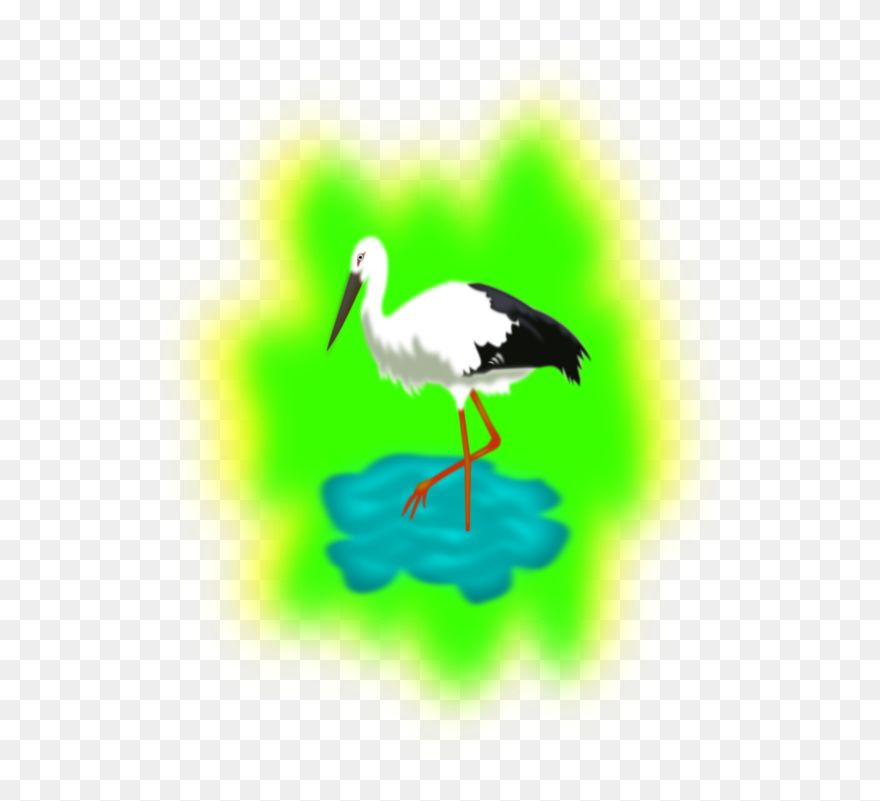 Stork Vector Crane Bird - Barza Clipart - Png Download