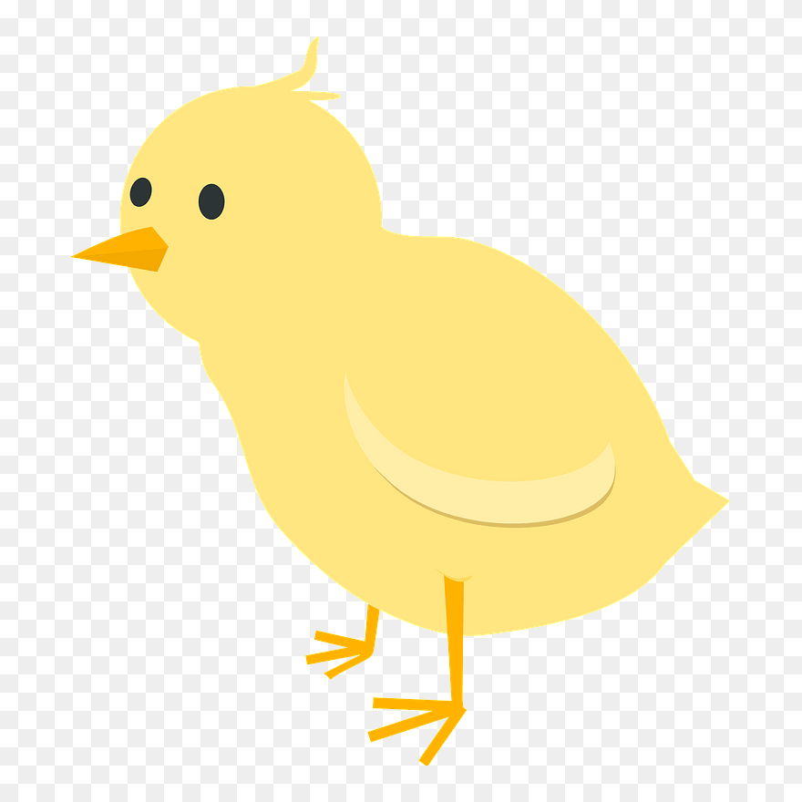 Chick Clipart - Perching Bird - Png Download