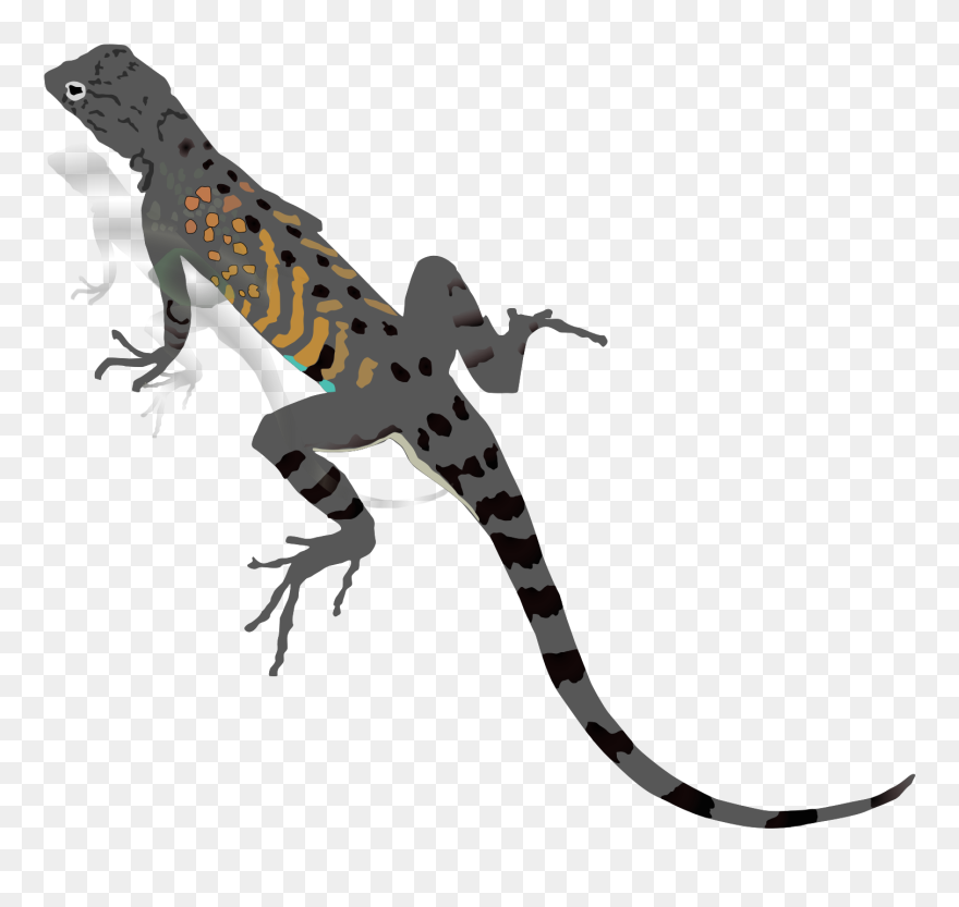 Silhouette Lizard Clip Art - Png Download