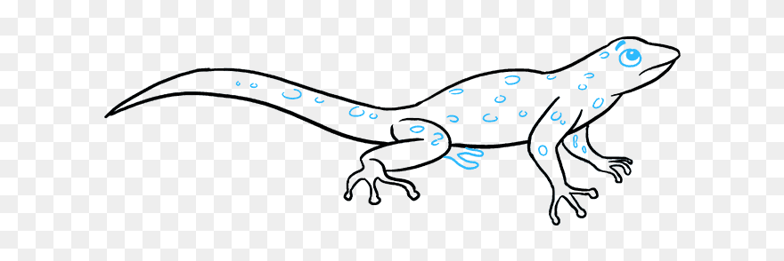 How To Draw Lizard - Simple Lizard Draw Easy Clipart