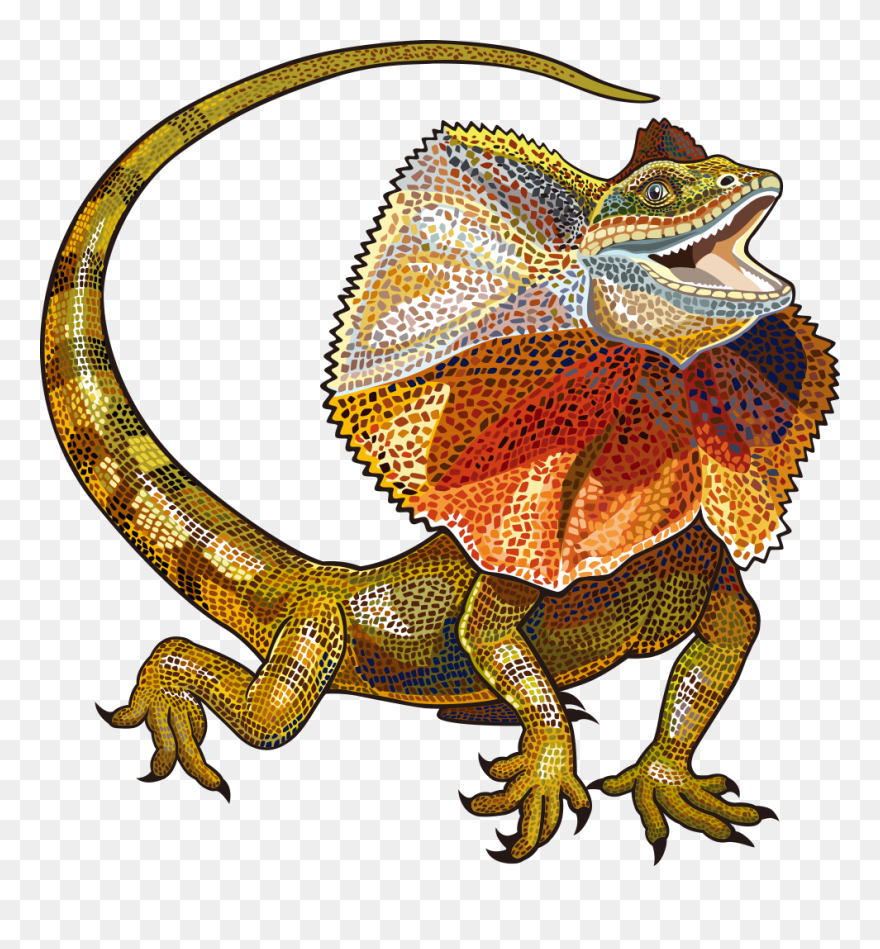 Lizard Vector Free Download Image Clipart - Frill Neck Lizard Vector - Png Download