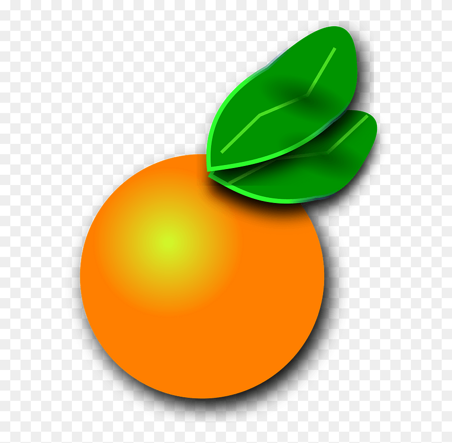 Orange Clipart - Clip Art - Png Download
