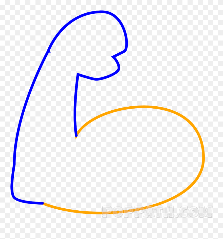 Drawn Mussel Drawing Arm - Draw A Muscle Arm Clipart