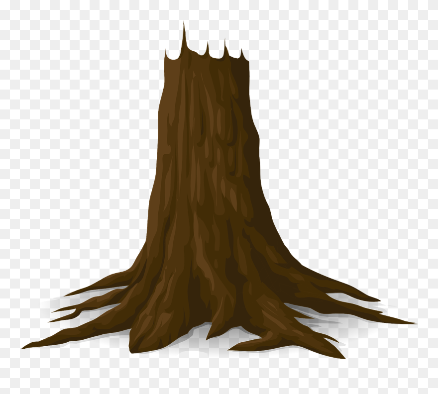 Tree Wood Trunk - Tree Trunk Png Clipart Transparent Png