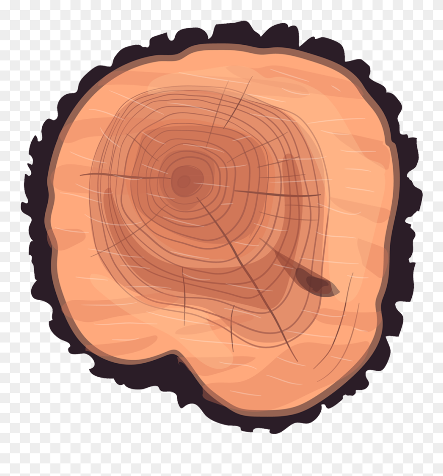 Wheel Eucalyptus Stump Tree Wood Trunk Clipart - Cartoon Tree Stump Top - Png Download