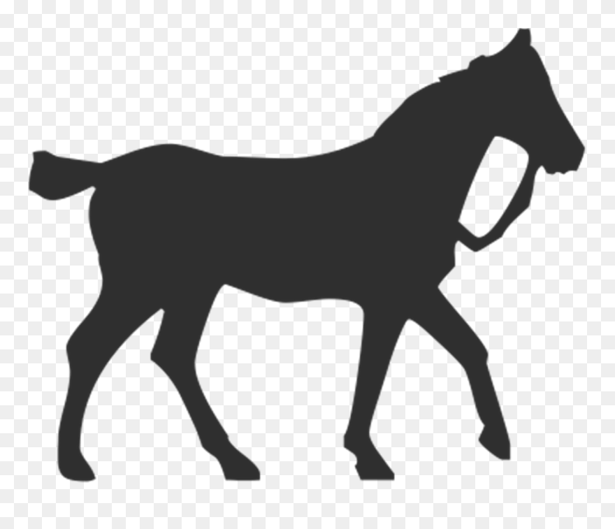Horse Clipart