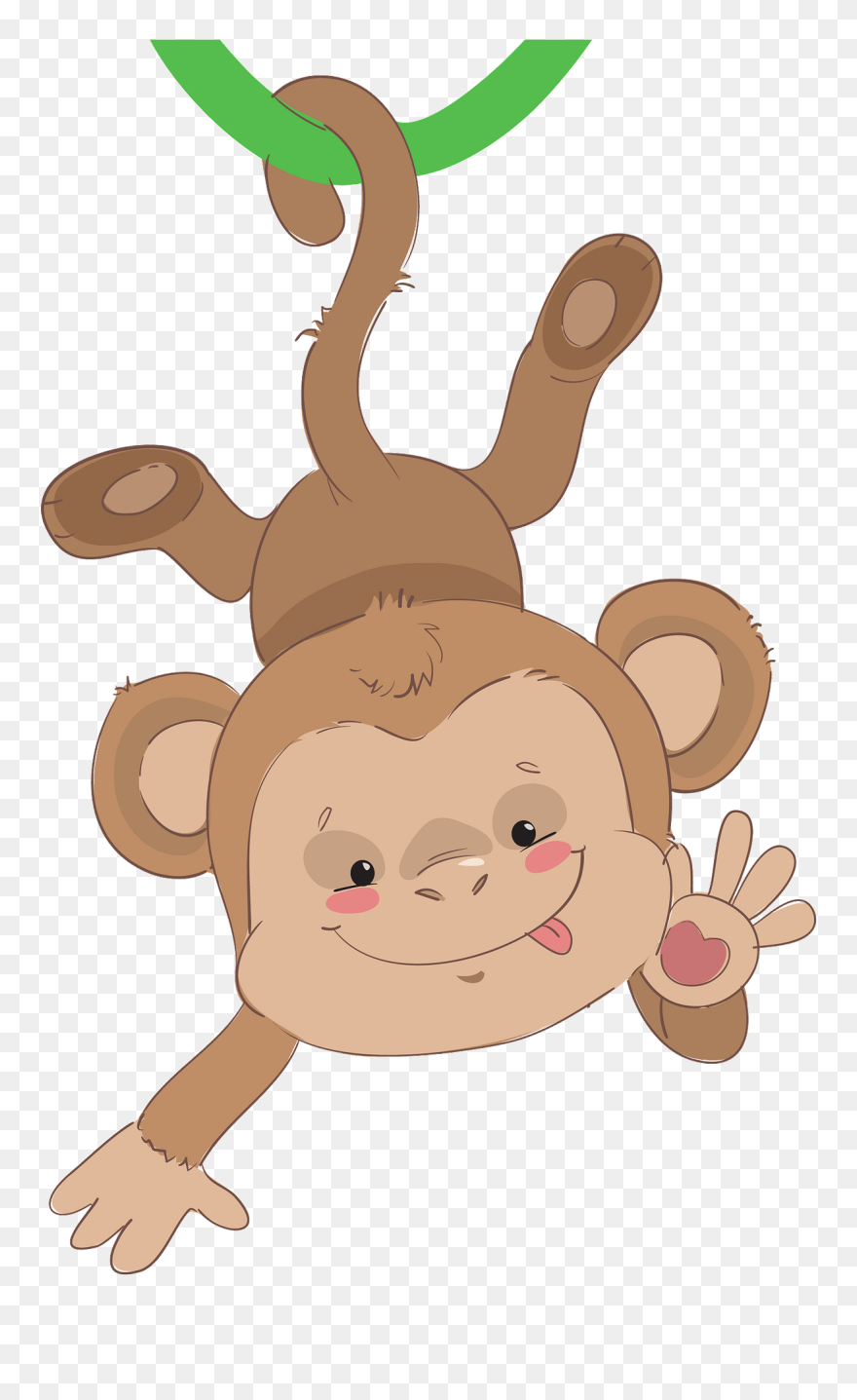 Mono Colgado De La Cola Clipart