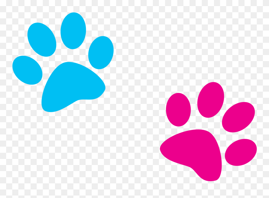 #paws #paw #blue #pink #print #dog #cat - Pink And Blue Paw Prints Clipart