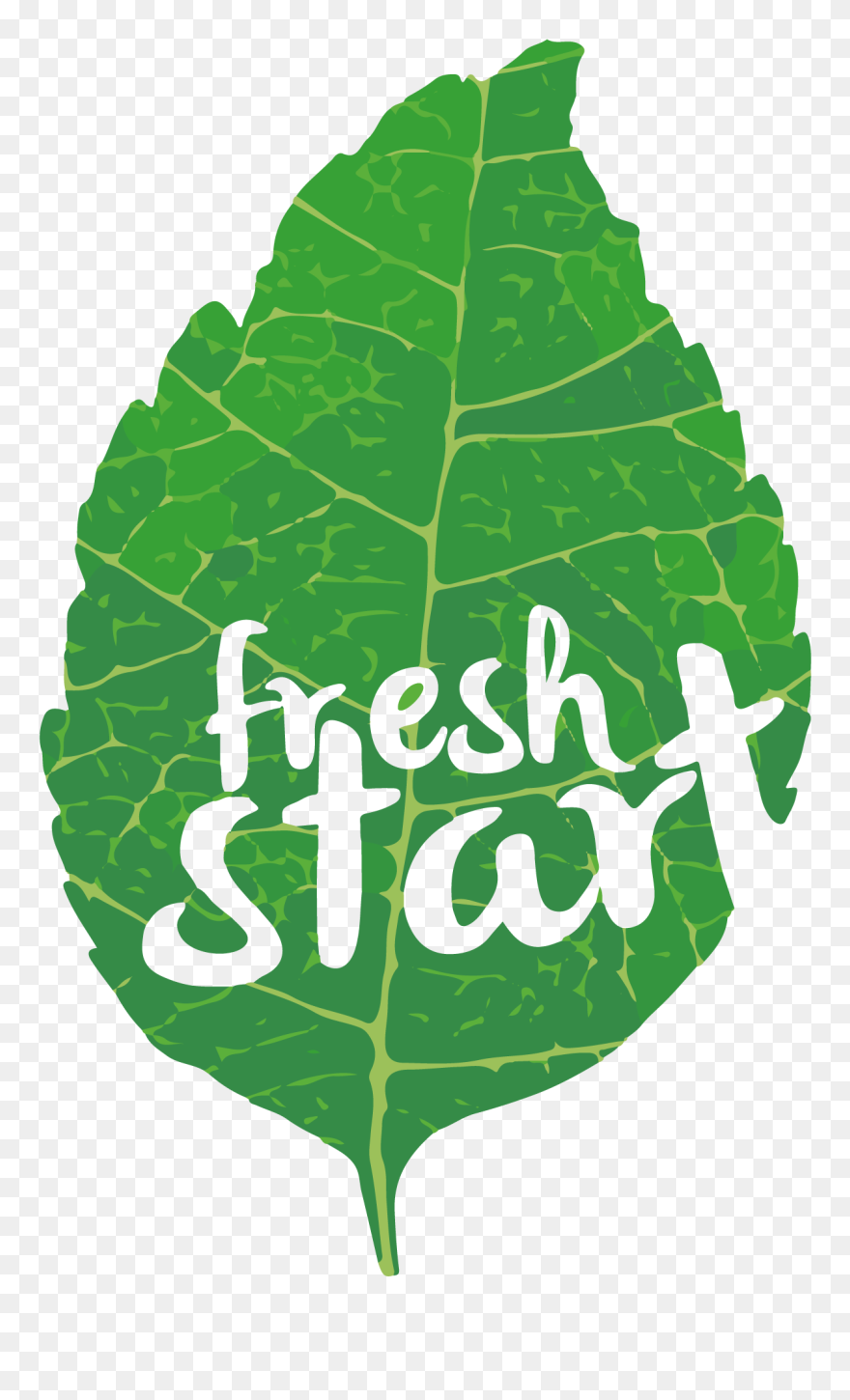 Transparent Lettuce Clipart - Boutique - Png Download