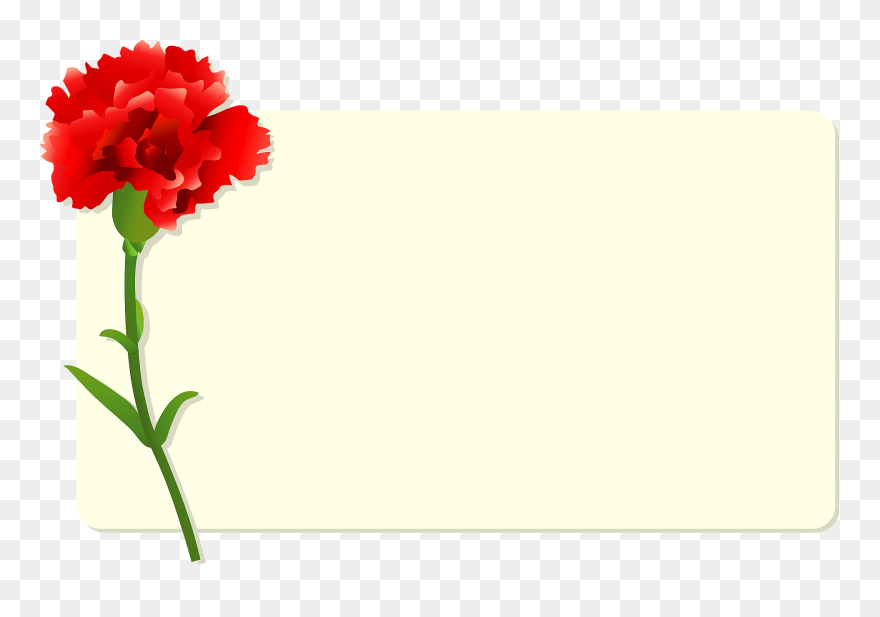 Carnation Clipart