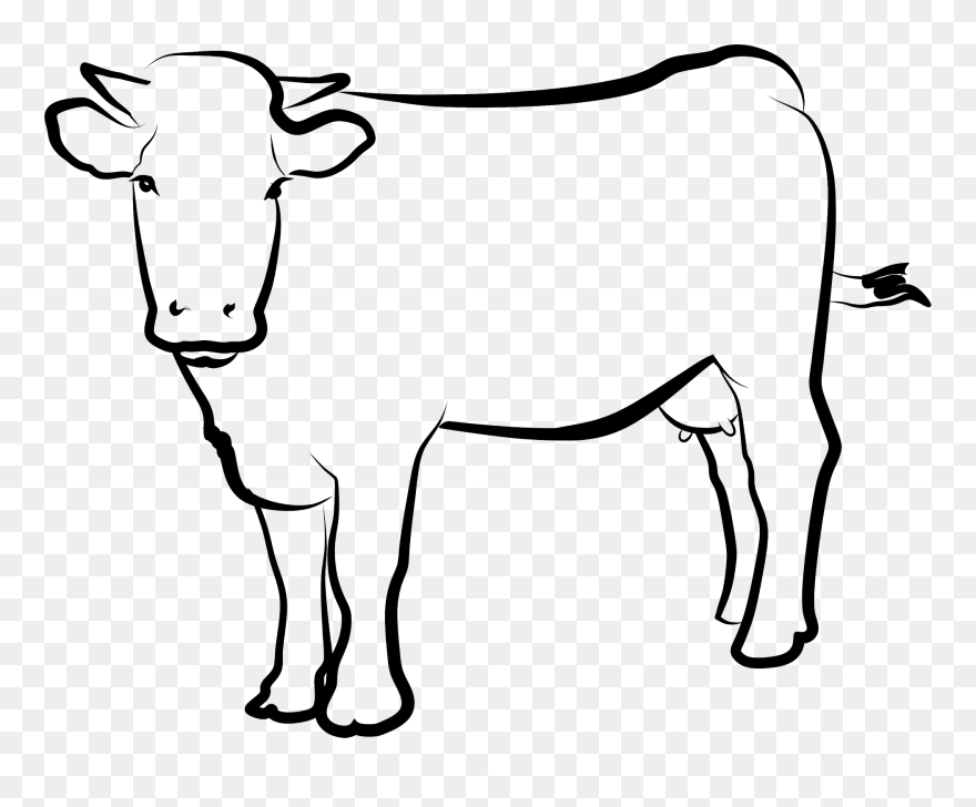 Pregnant Cow Clipart - Png Download