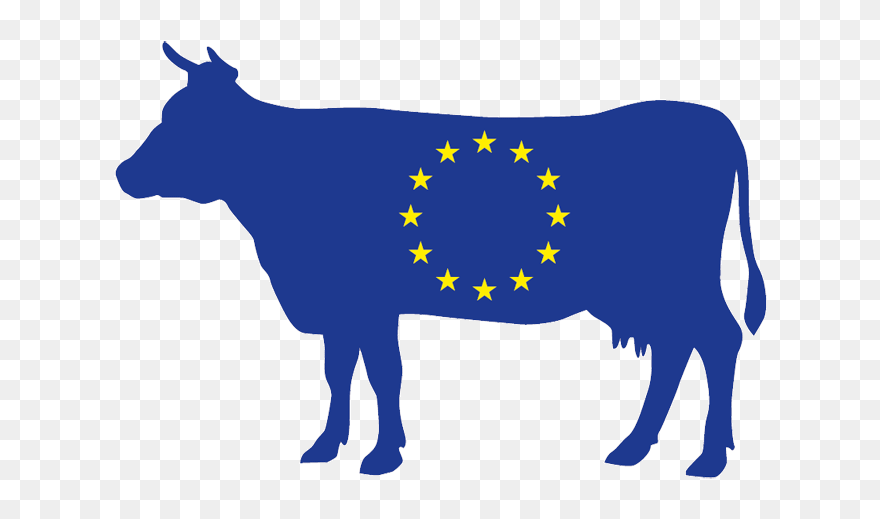 Beef Cattle Vector Graphics Clip Art Dairy Cattle Illustration - Calf Illustration Cattle - Png Download