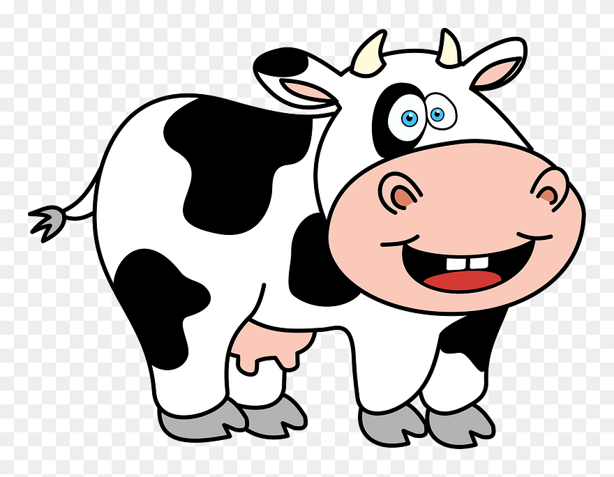Funny Cow - Cow Clipart Png Transparent Png