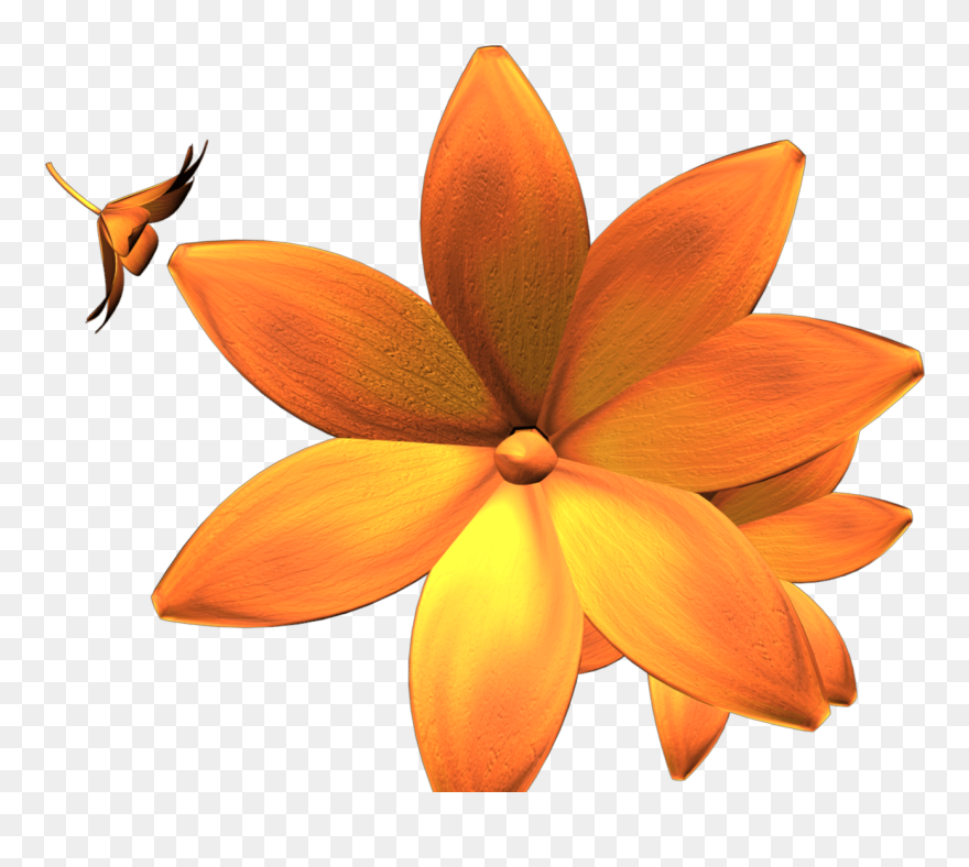 Bromelia Clipart
