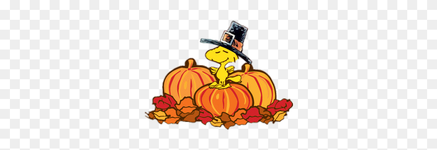 ##snoopy #thanksgiving #woodstock #pumpkins #fall #autumn - Thanksgiving Clipart Peanuts - Png Download
