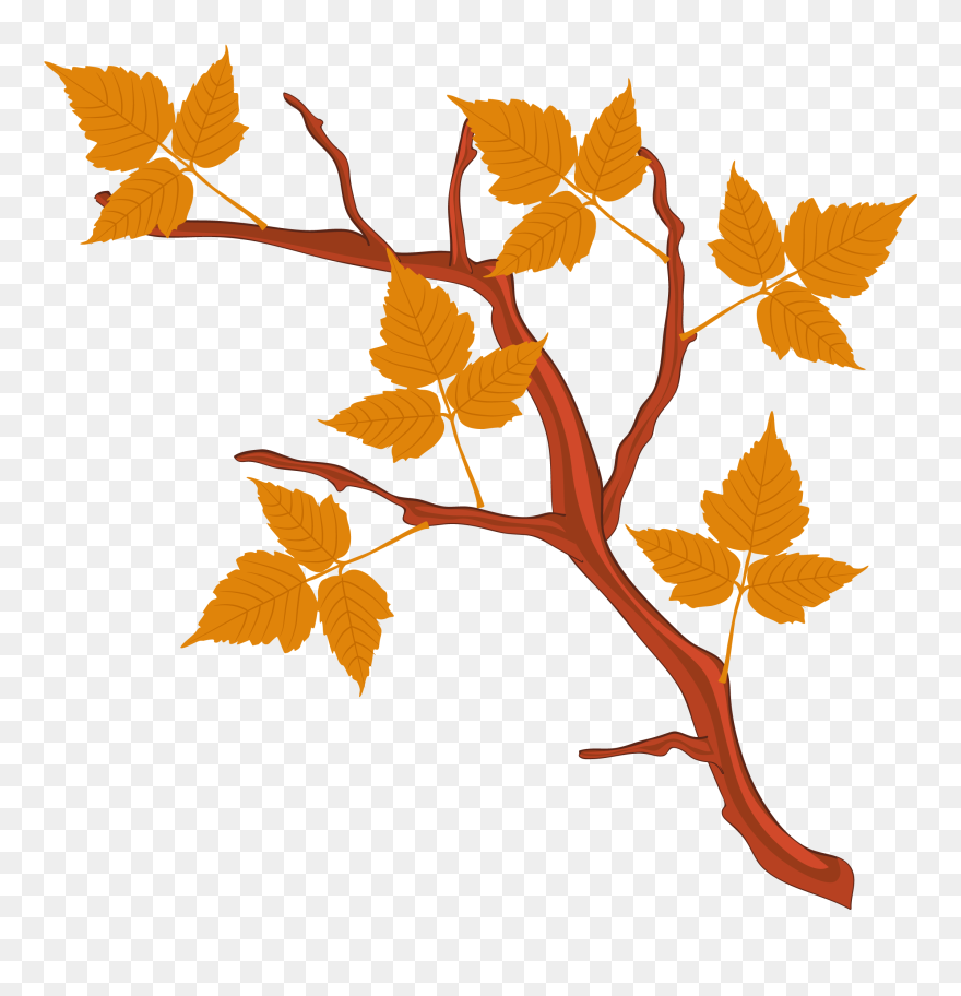 Plane-tree Family Clipart