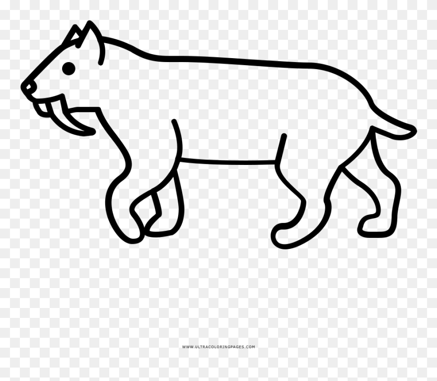 Lightsaber Clipart Coloring Page - Tigre Dientes De Sable Dibujo - Png Download
