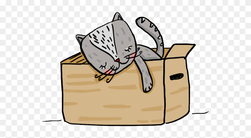 Sleeping Cat Box Home Sleep Animal Illüstration Cat Clipart