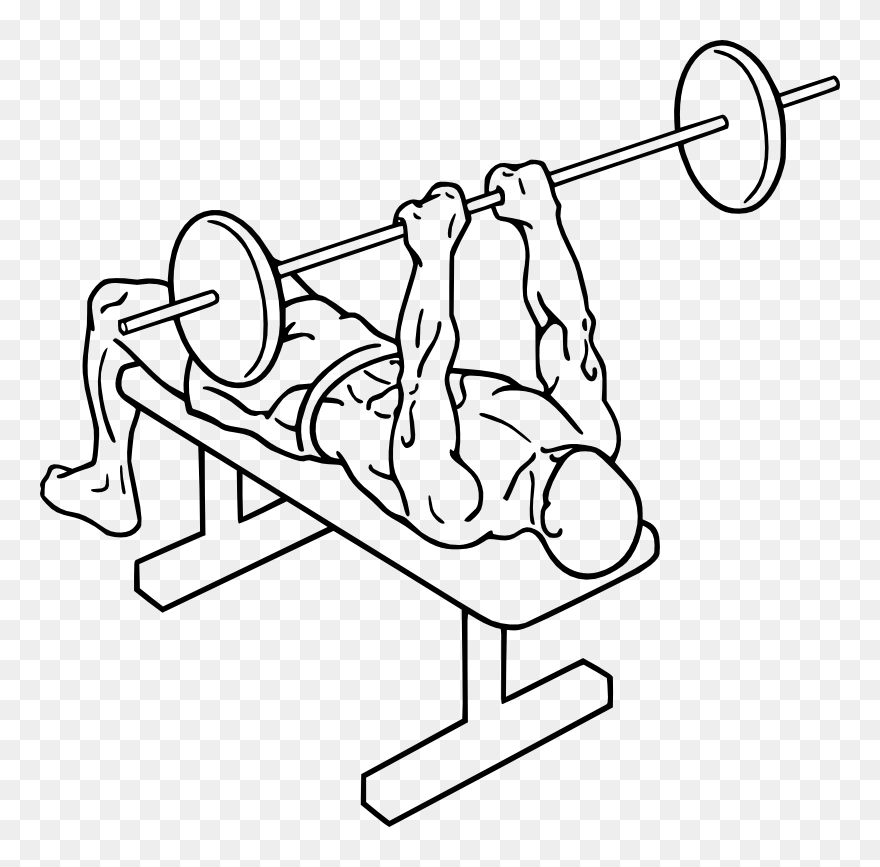 Transparent Weight Bar Clipart - Close Grip Bench Press Png