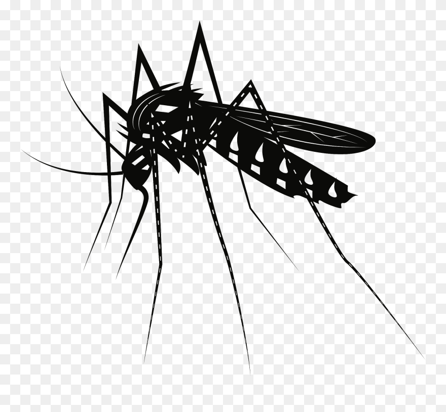 Mosquito Clipart Black And White - Png Download