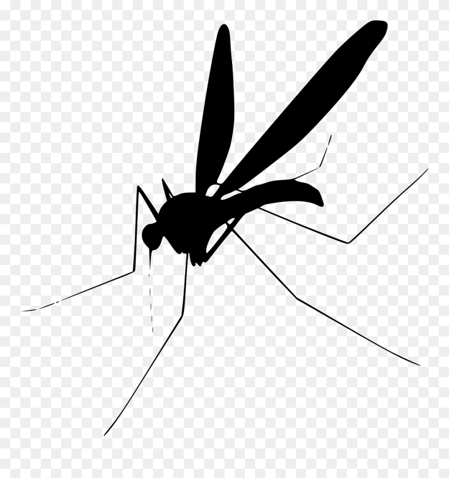 Mosquito Clip Art - Png Download