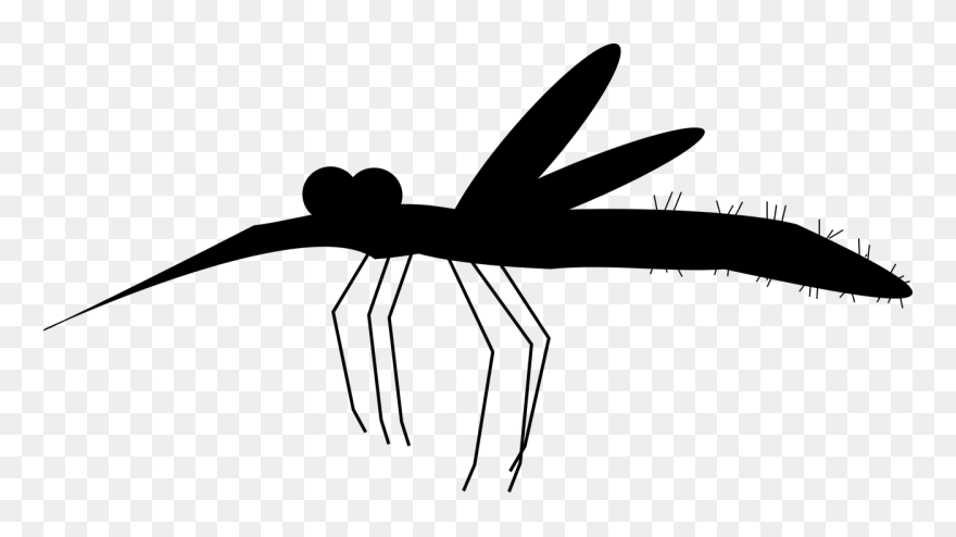 Mosquito Like Blood Free Photo - Mosquito Graphic Clipart