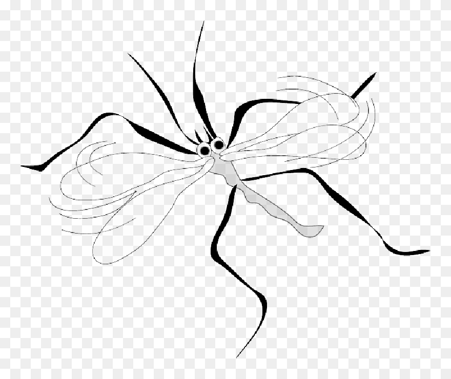 Mosquito Clip Art , Png Download - Mosquito Clip Art Transparent Png