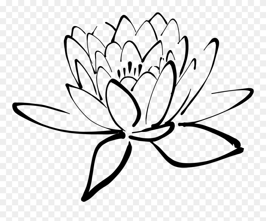Lake Clipart Pond Plant - Black And White Lotus Flower Clipart - Png Download