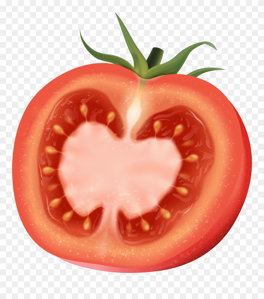 Transparent Tomato Clipart - Clipart Tomato - Png Download