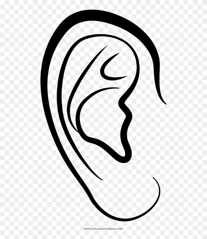 Clipart Ear Coloring - Ear Coloring - Png Download