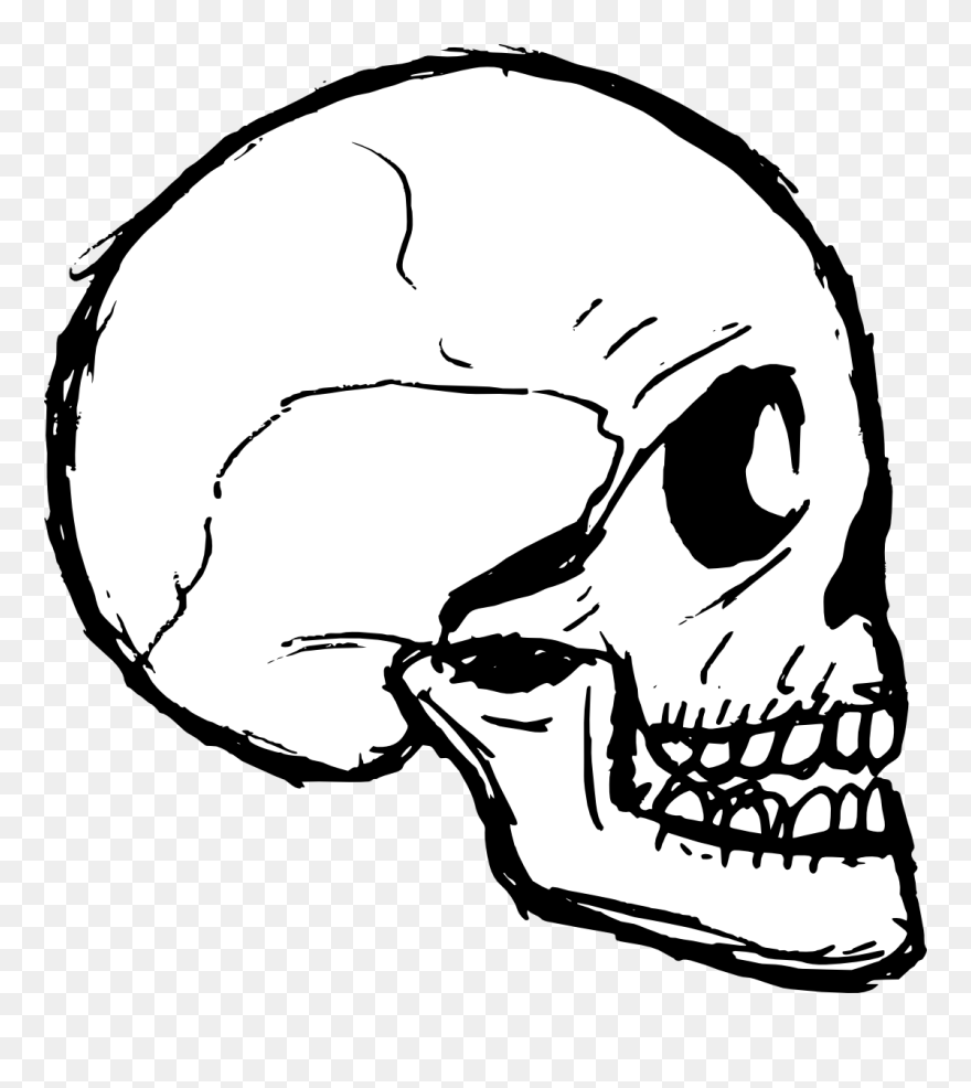 Transparent Skull Vector Png - Skull Doodle Png Clipart