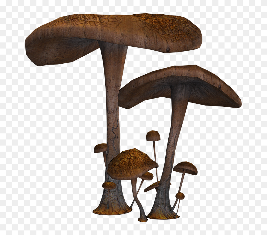 Mushrooms Png Clipart