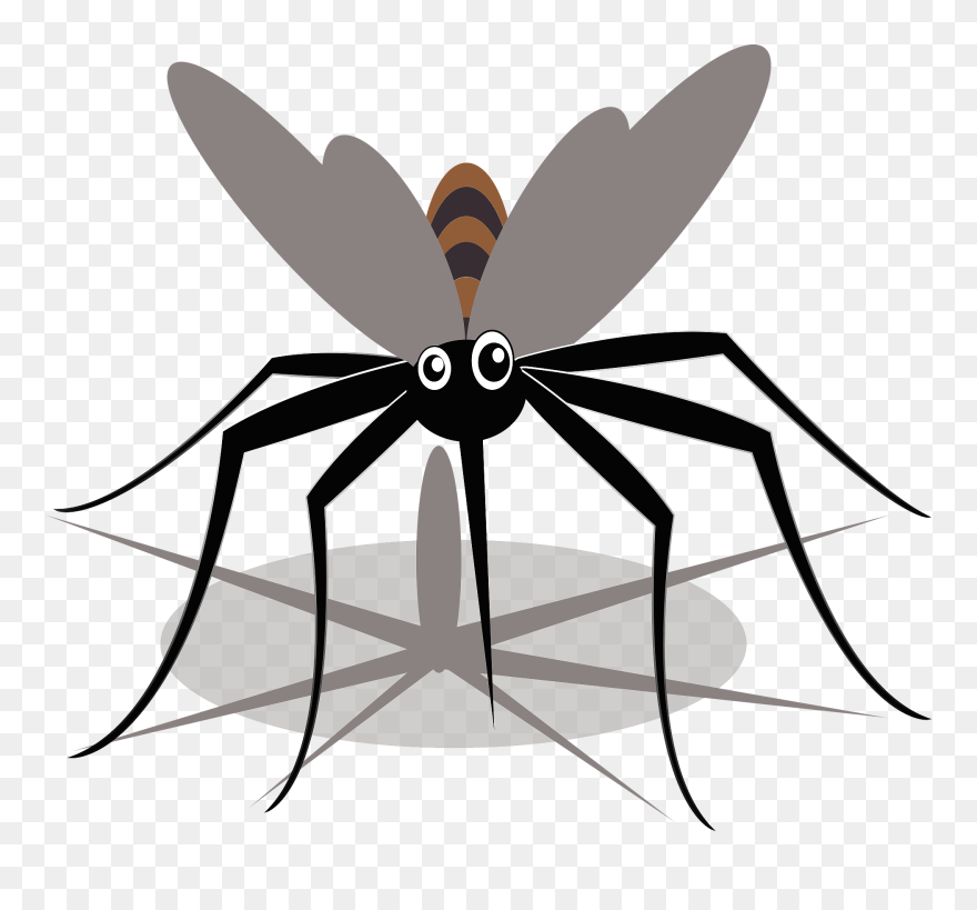 Clip Art - Png Download