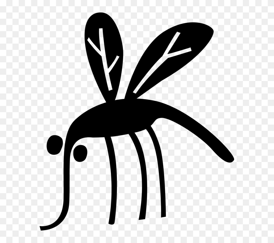 Blood Sucking Insect Vector Clipart