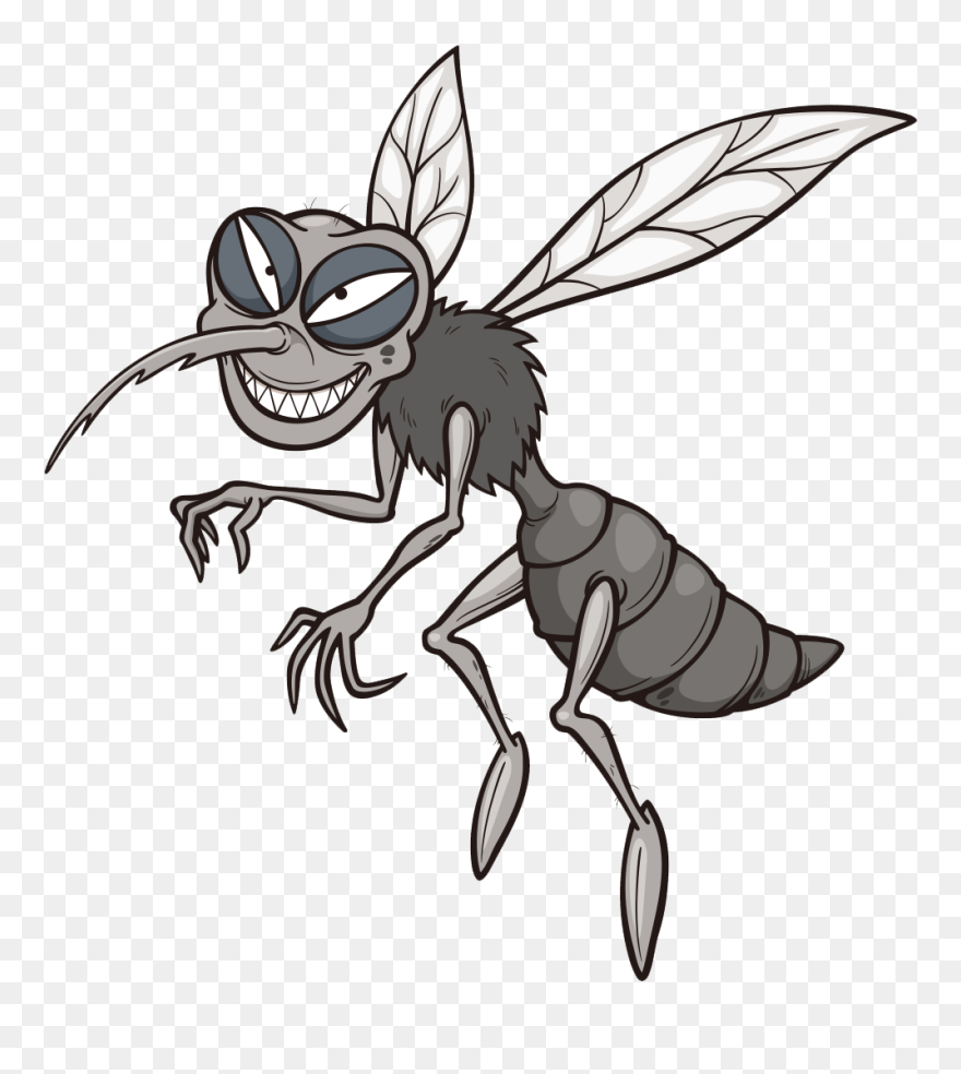 Mosquito Drawing Cartoon Clipart