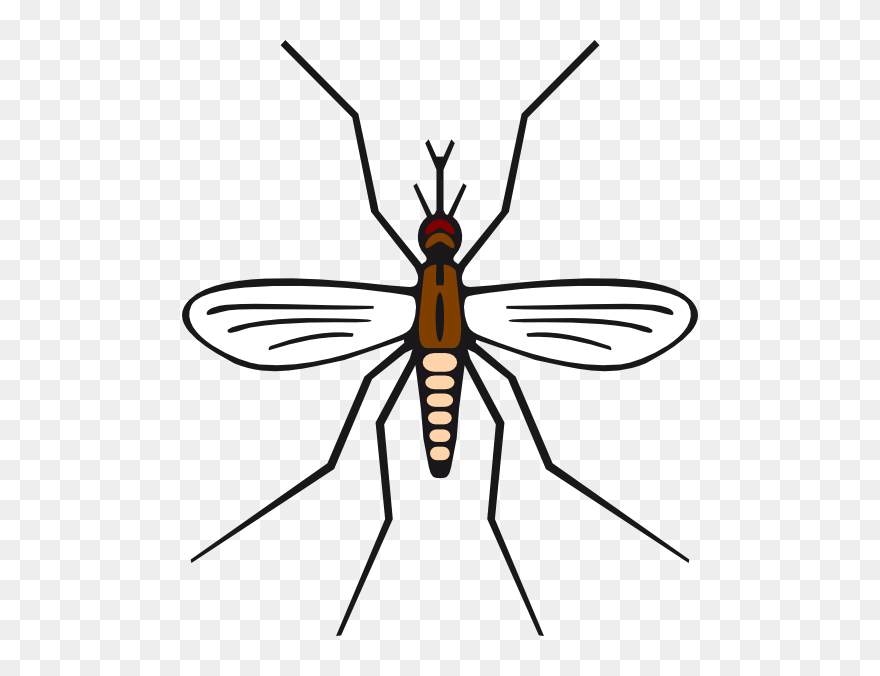 Mosquito Clip Net - Mosquito Black And White Clipart - Png Download