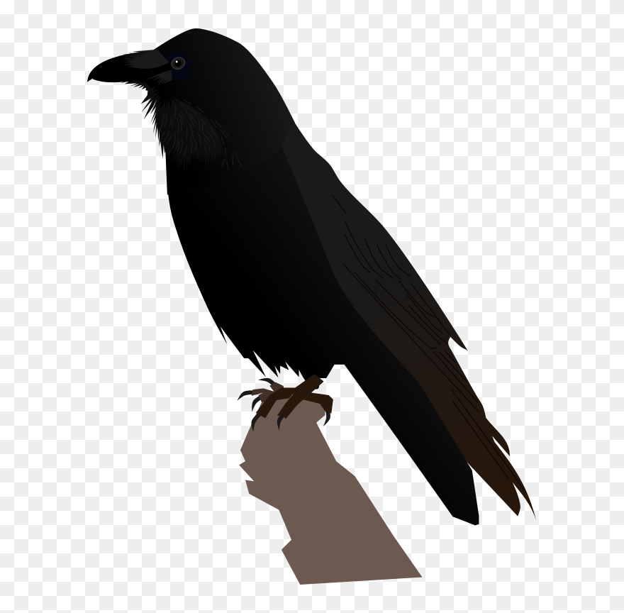 Common Raven Transparent Png Png Icons - Svg Raven Clipart