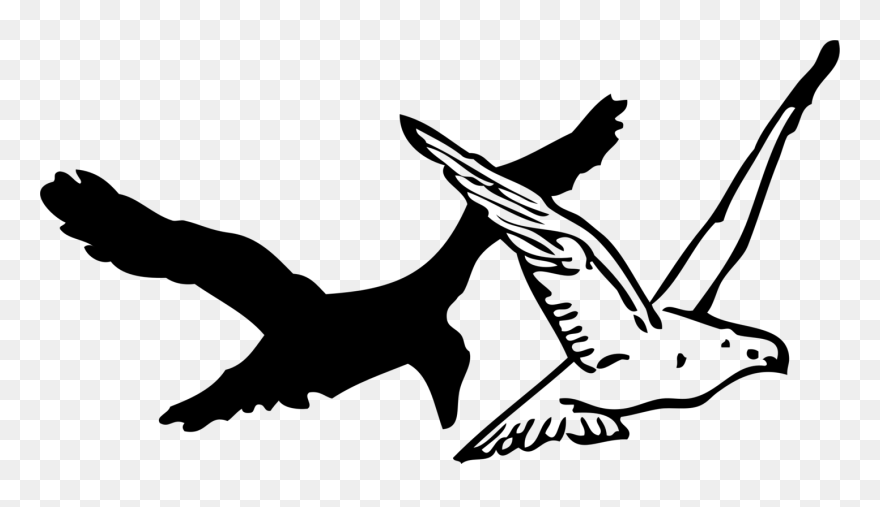 Line Art,line,silhouette - Flying Crow Drawing Easy Clipart