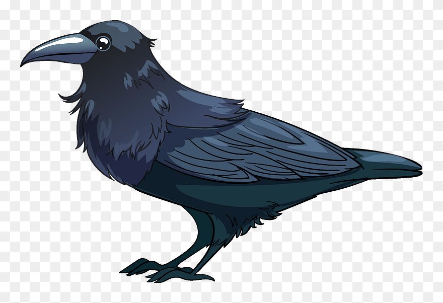 Raven Clipart - American Crow - Png Download